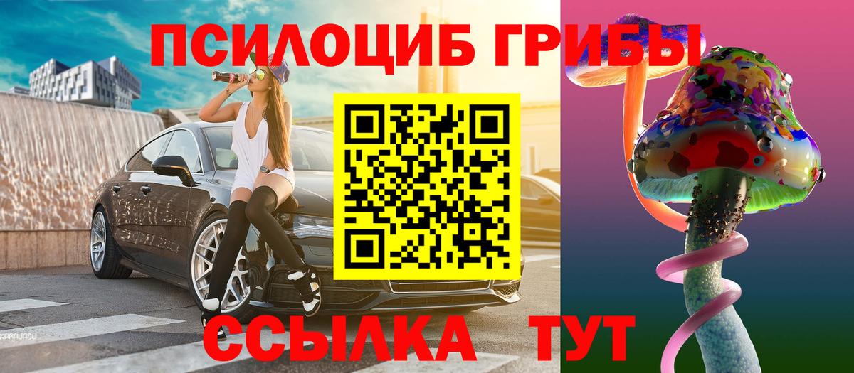 Галлюциногенные грибы Cubensis Курчатов